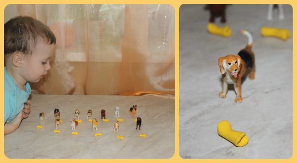 ТН Домашние животные, день 4 - Собака