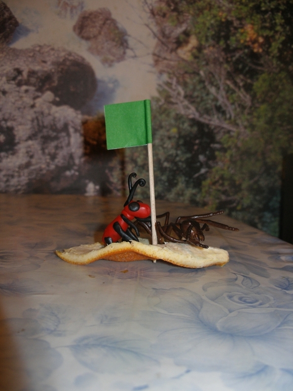 ТН "Насекомые". День 2 и 3