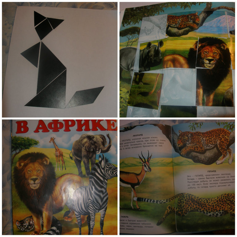 ТН Дикие кошки