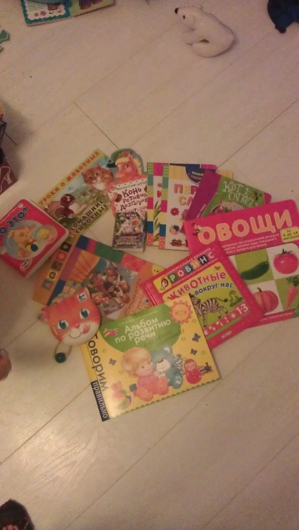 наша мини библиотека