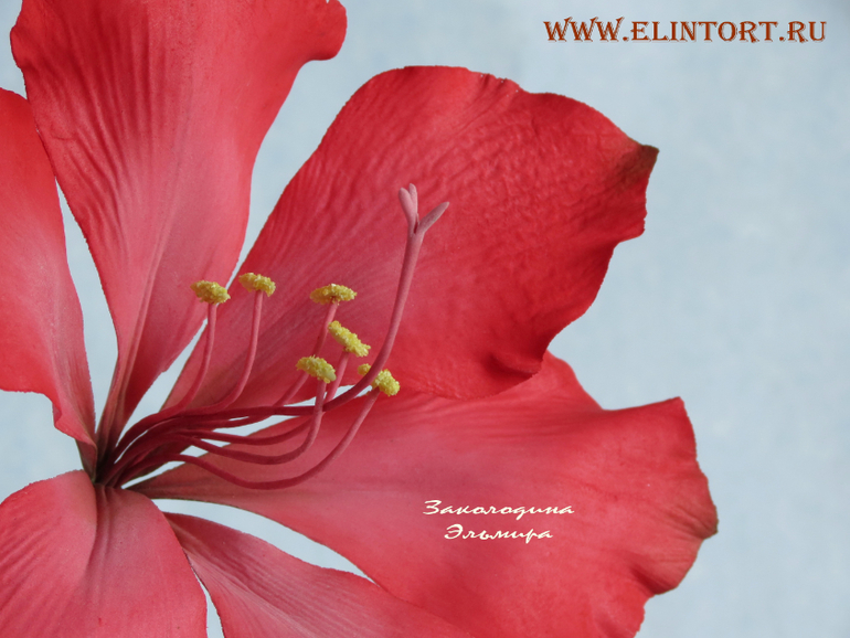 Мои Цветы со второго курса Олеси Голумбевской.