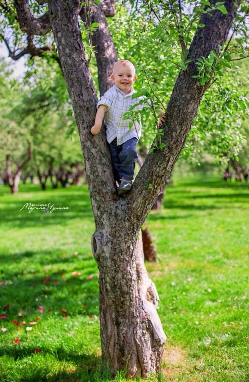 У нас 17.05.2014 было 2 года
