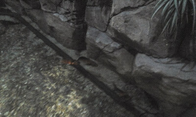 Экзотариум, океанариум