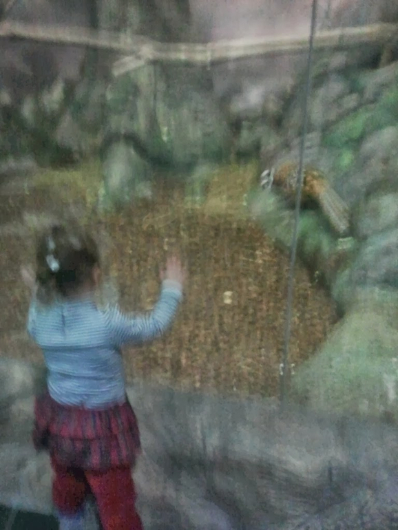 Экзотариум, океанариум