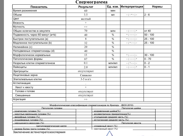 Что такое спермограмма: норма и расшифровка спермограммы