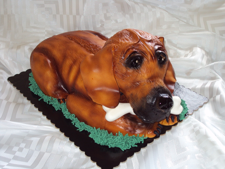 Щенок родезийского риджбека