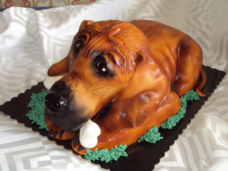 Щенок родезийского риджбека