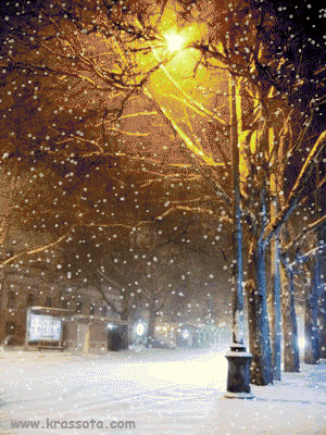 А у нас первый снег!