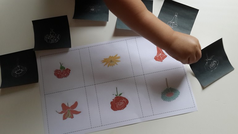 ТЗ Цветное безобразие (Шичида)