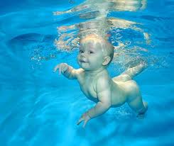 Поплаваем?!