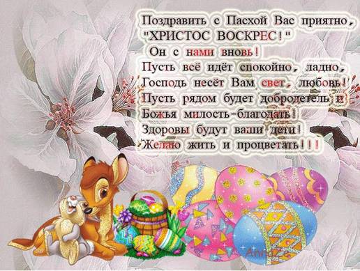 37a16c71ce1e7ed49de2c7bdbd46792a.jpg