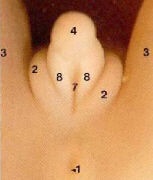 19b8962d5f803ad7c5754fd8d5ff0f90.jpg