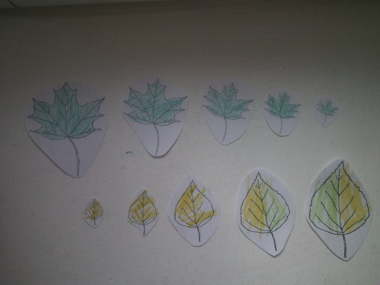 Тематическая неделька деревья. День 1.