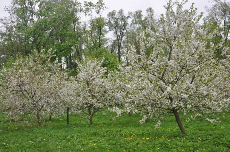 Музей-усадьба