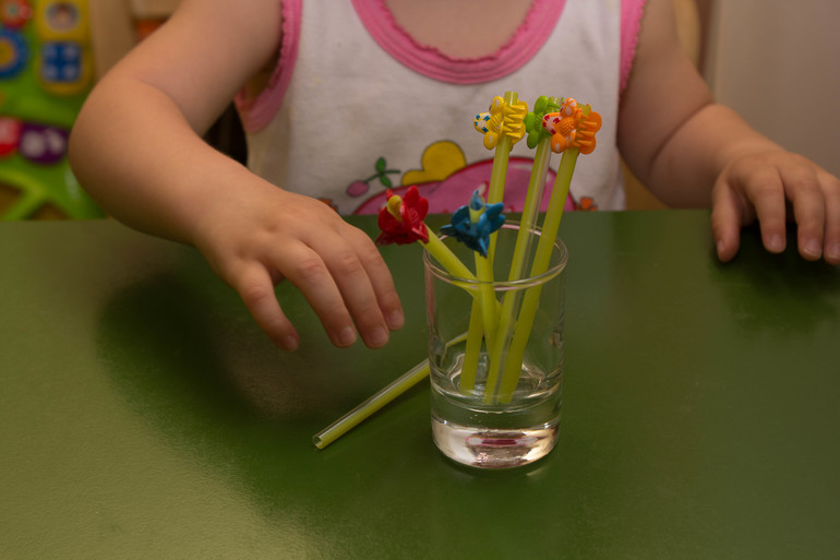 ТЗ "Утка, Гусь". Отчет