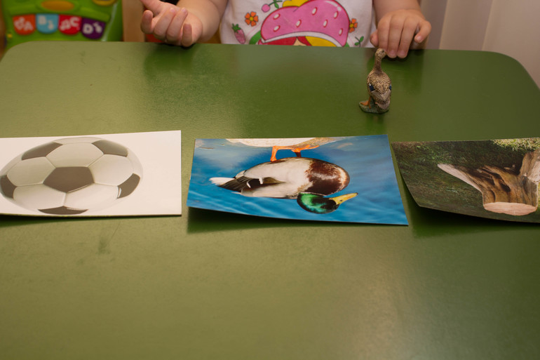 ТЗ "Утка, Гусь". Отчет