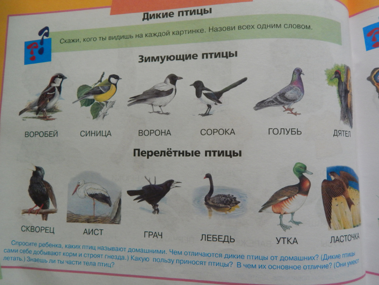 Книжный хваст №... (летнее пришло)