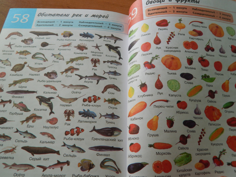 Книжный хваст №... (летнее пришло)