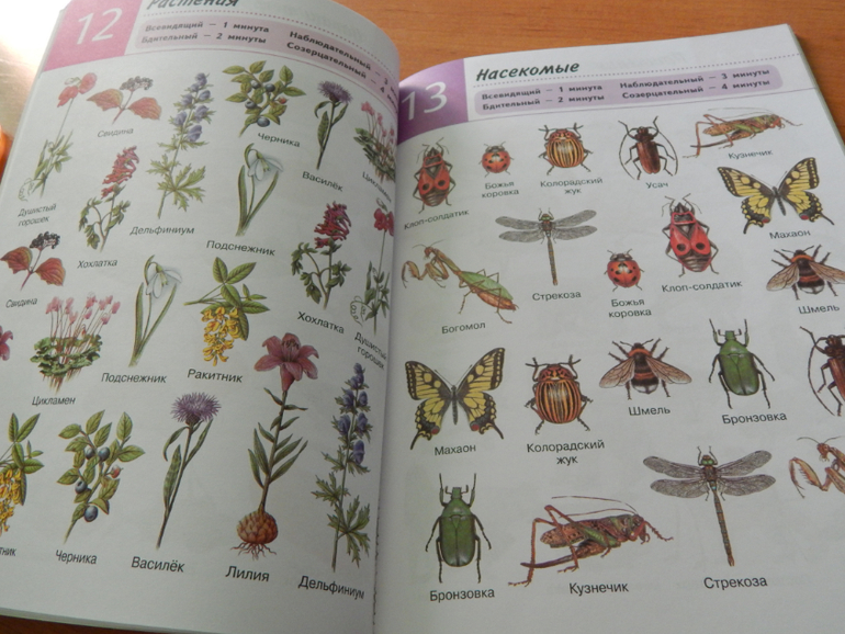 Книжный хваст №... (летнее пришло)