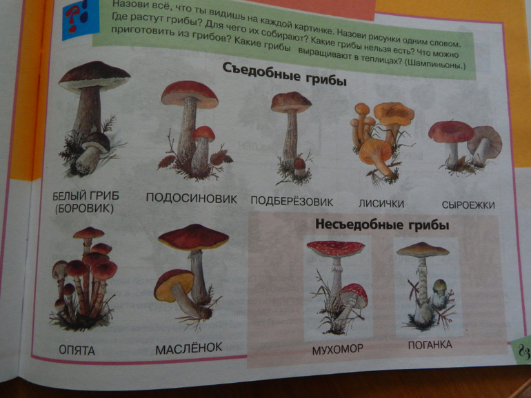 Книжный хваст №... (летнее пришло)