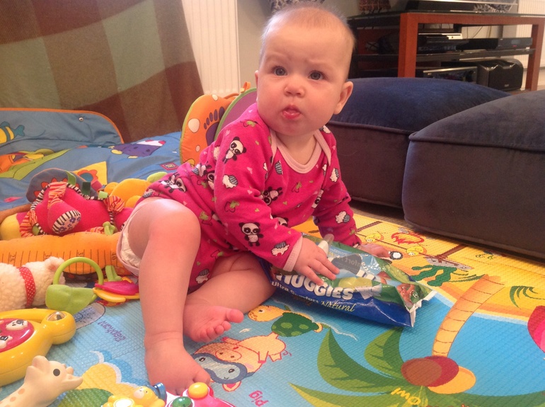 Плугодовасие: первый этап пройден