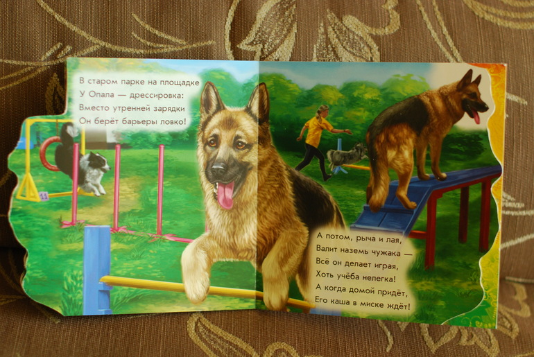 Очередные покупки