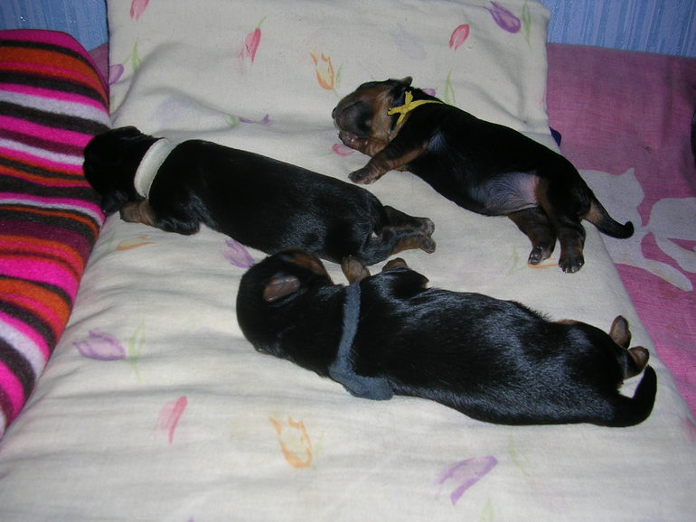 Кася стала мамой)))