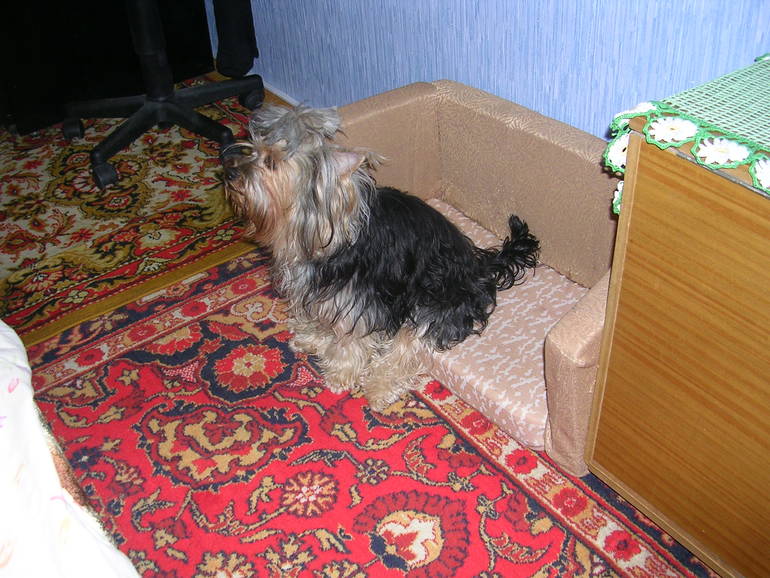 Моя радость!