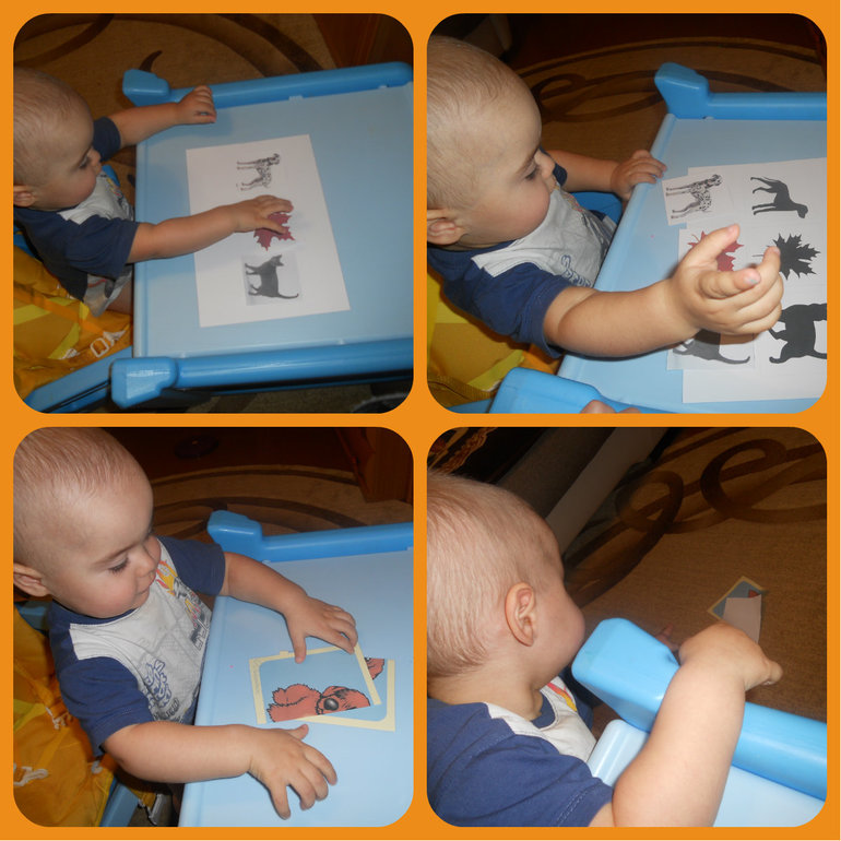 Домашние животные - кошечка и собачка...