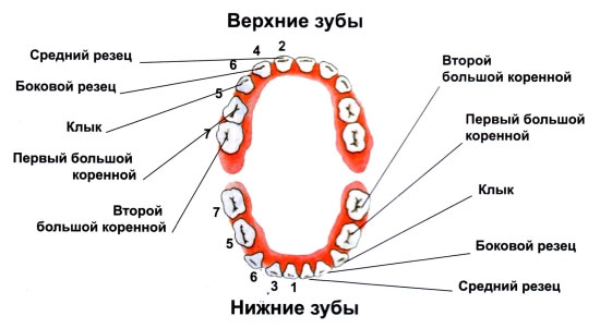 c547a53e78809501e884c9ff2867ce7f.jpg