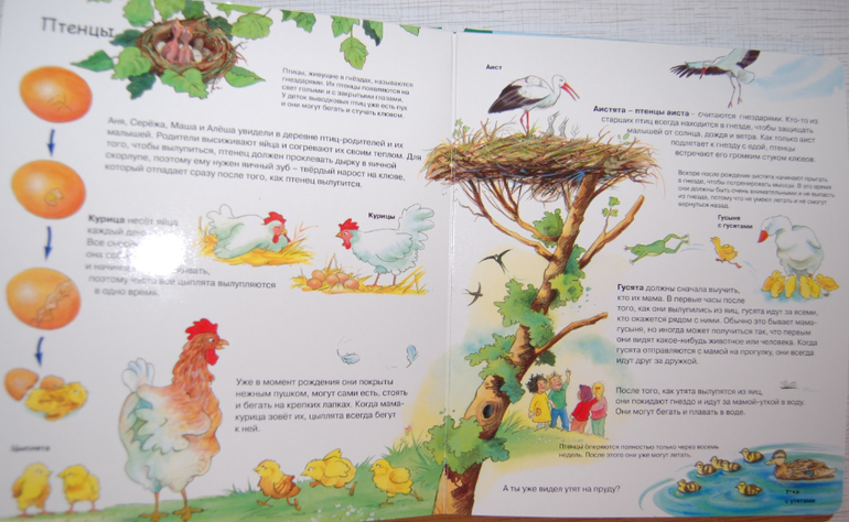 Энциклопедии для детей