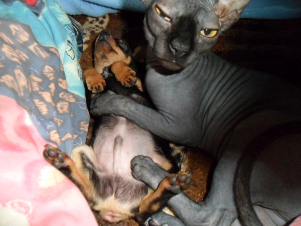 Мама и папа нашей девоньки)