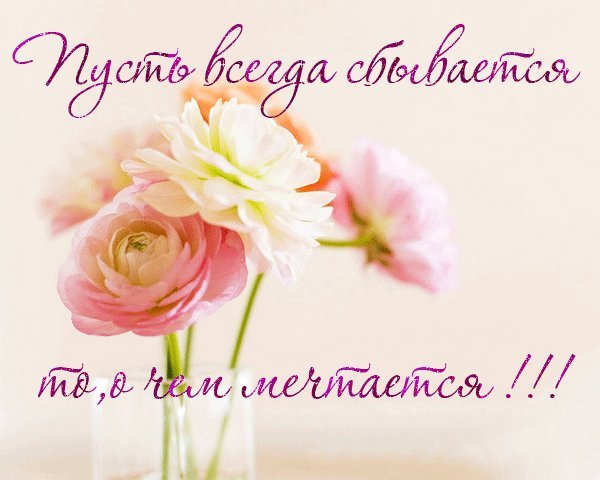 f5b6d73c1e6cd37778806a902a15a6df.jpg