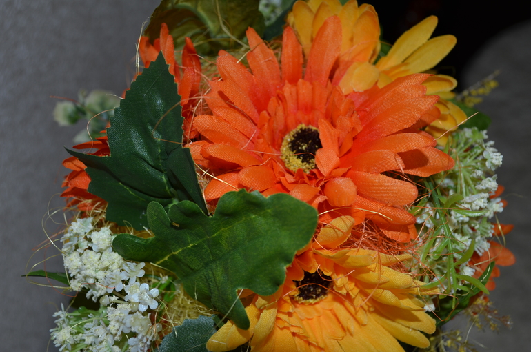 Лучик солнца....