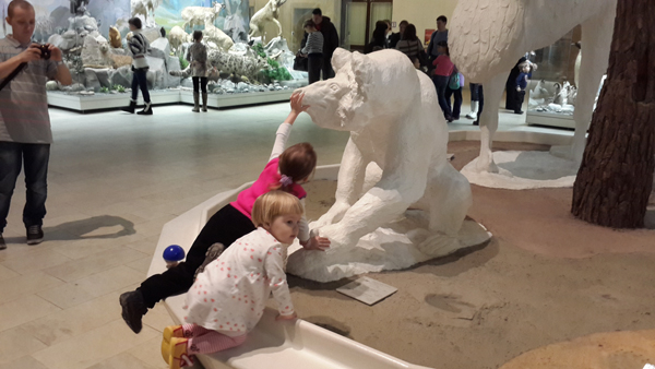 Поездка в дарвиновский музей (фото-отчет)