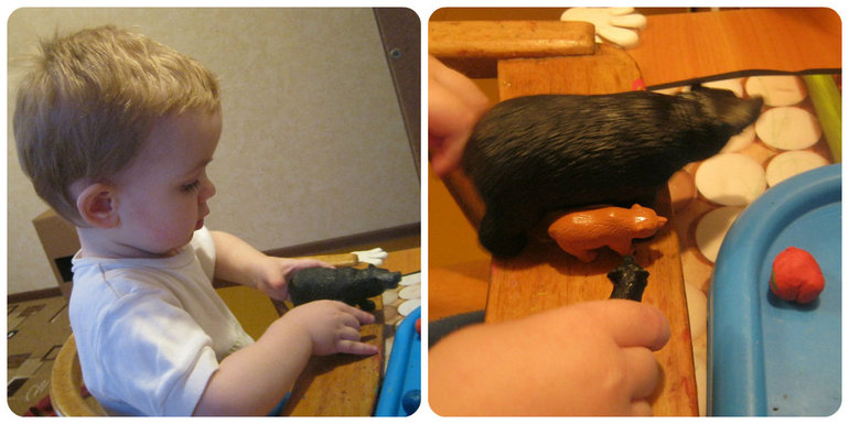 ТН Кто что строит д 3 Что строят звери