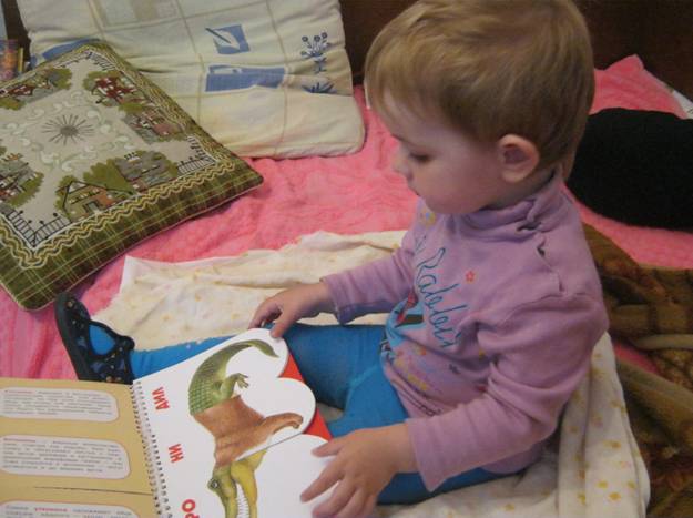 ТД Крокодил