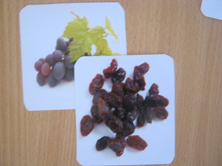 Вкусовое/пищевое лото