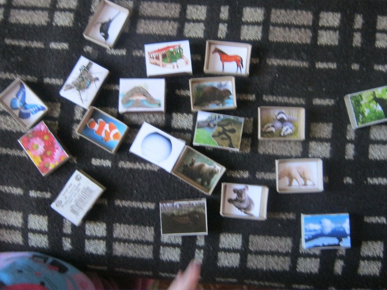 ТН Кто что строит д 3 Что строят звери