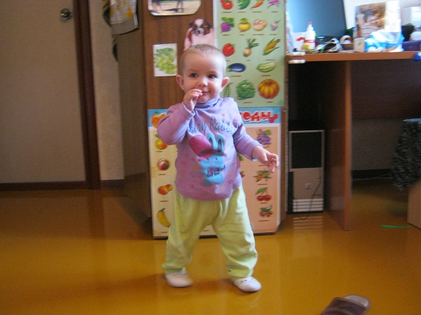 ЁЖИК в тумане…