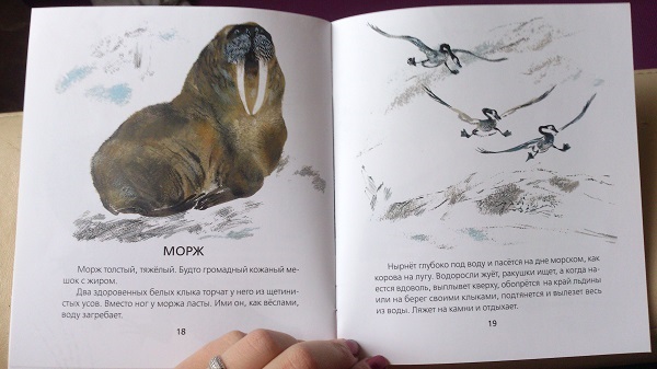 Книжный шкаф: обновки