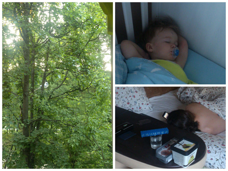 Дипломная работа. Один день из жизни Флайледи.