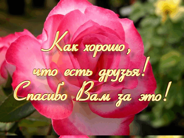 Для моих подружек)