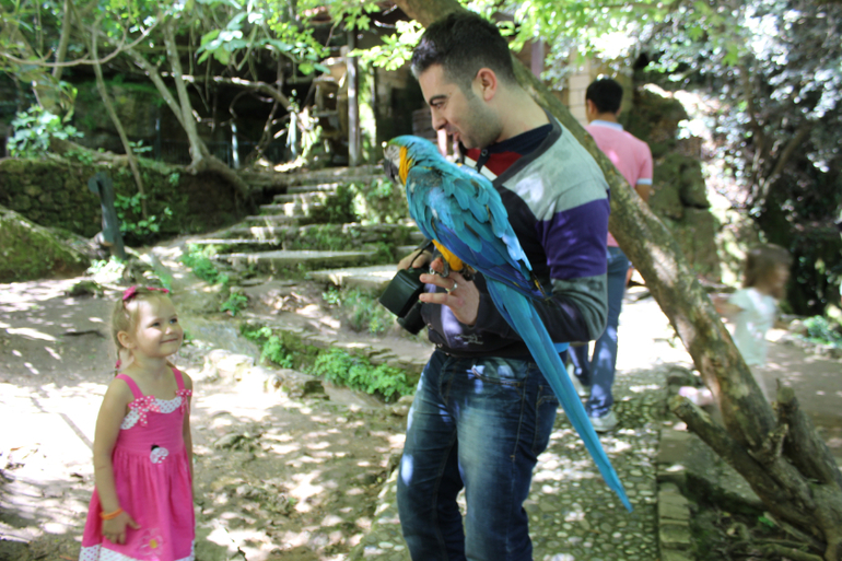 Океанариум в Анталии, водопад Куршунлу и озеро Нилуфер