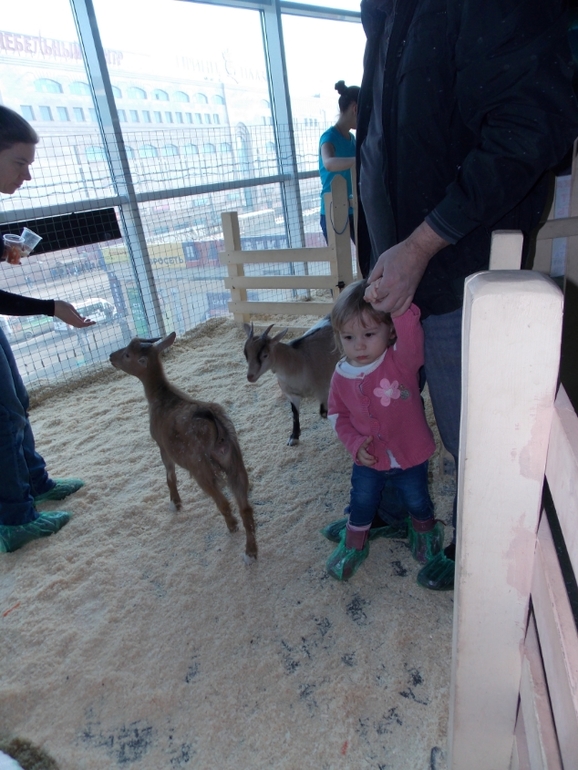 Трогательный зоопарк!