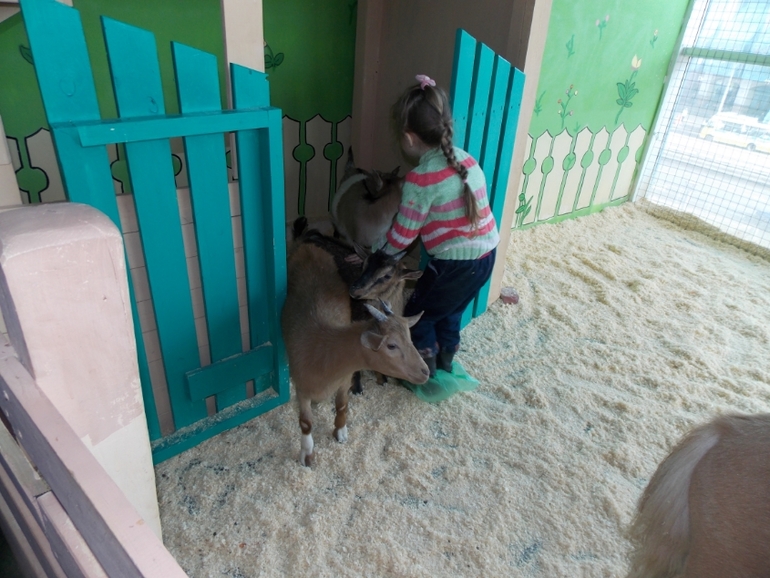 Трогательный зоопарк!