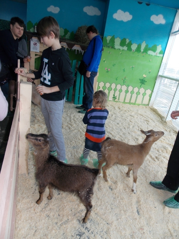 Трогательный зоопарк!