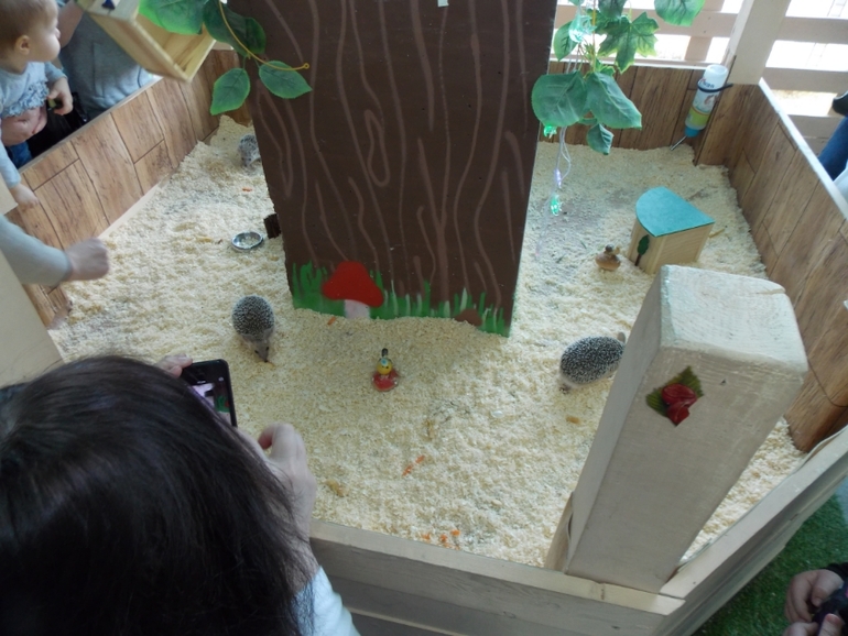 Трогательный зоопарк!