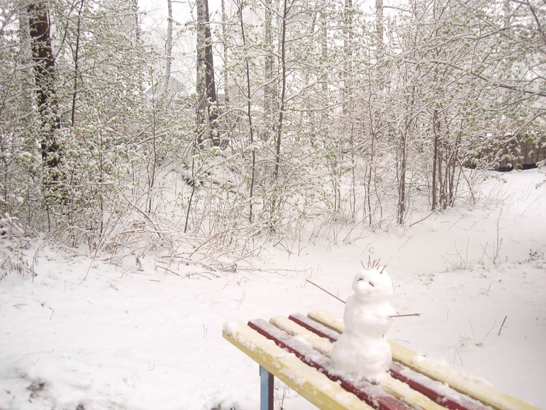 Вот такая прогулка:)