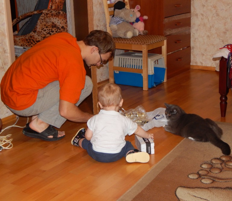 Тренировки